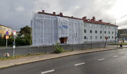 Stora mossen